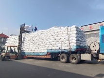 把握機(jī)遇、鉚足干勁、承勢(shì)而上